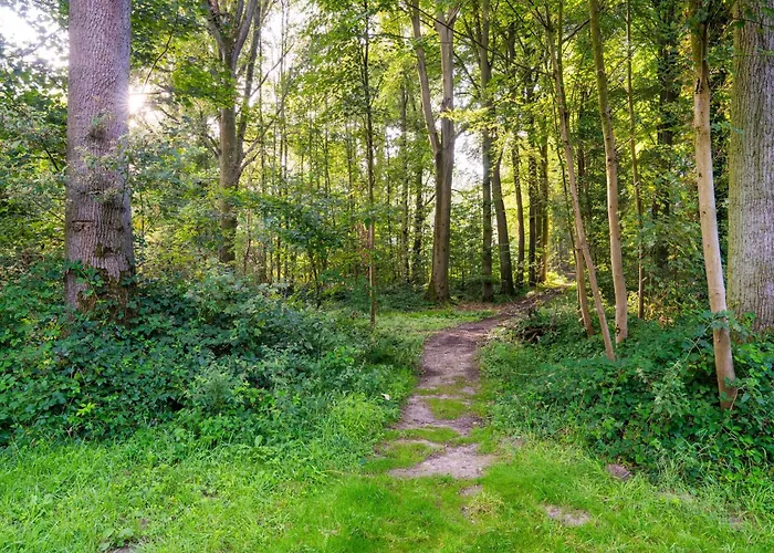 Hébergement de vacances Idyllic Couple S *